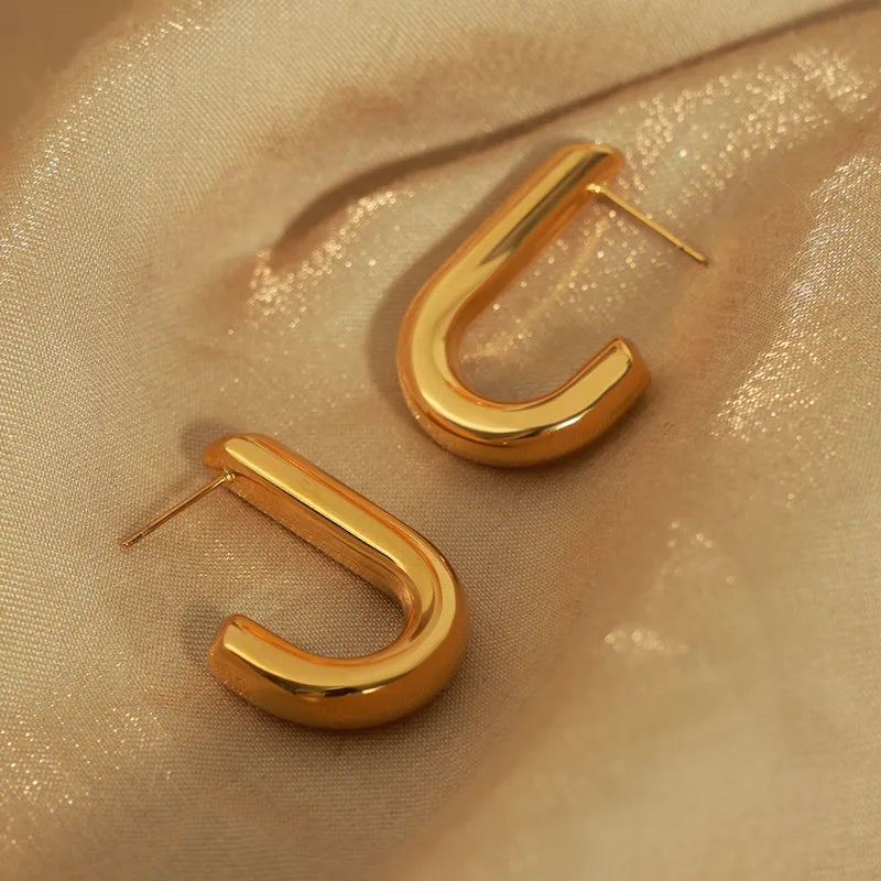 Aretes Gancho Acero Titanio