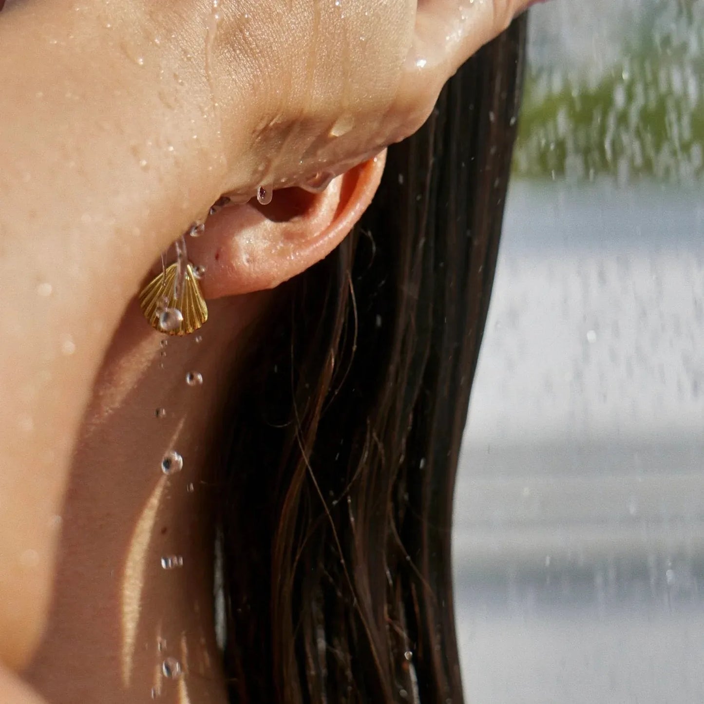 Aretes Concha de Mar Acero Inoxidable