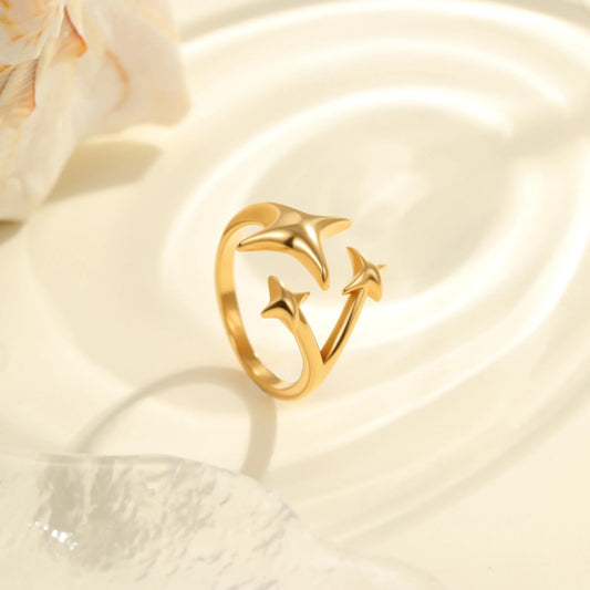 Anillo Estrellas Acero Inoxidable