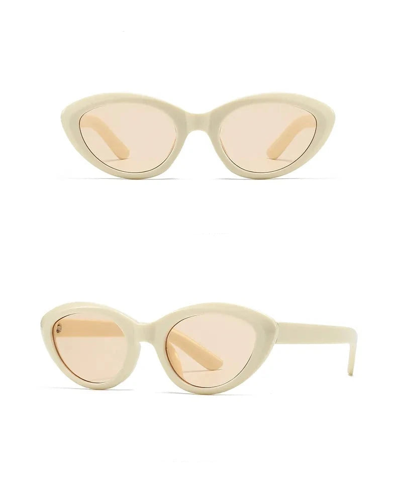 Gafas Arroz Champán Estilo Moderno